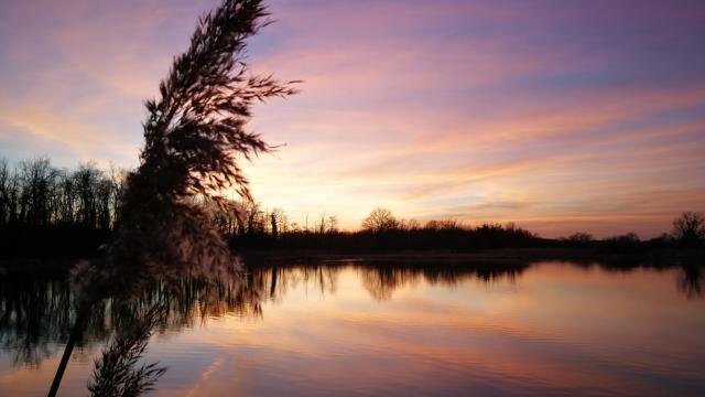 Coucher de soleil en Dombes