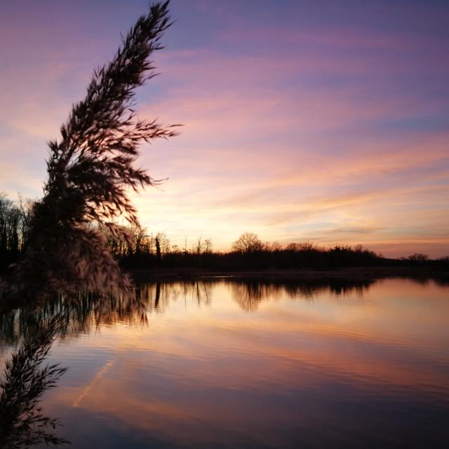 Coucher de soleil en Dombes