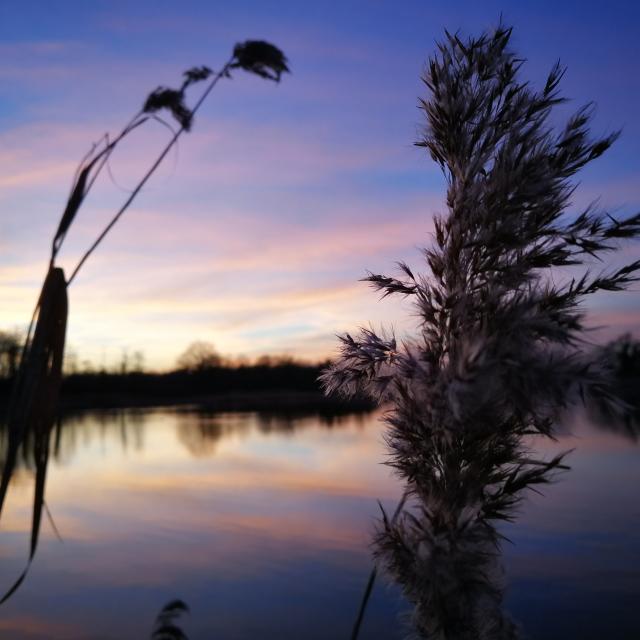 Coucher de soleil en Dombes