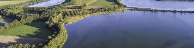 Les étangs de la Dombes vue du ciel