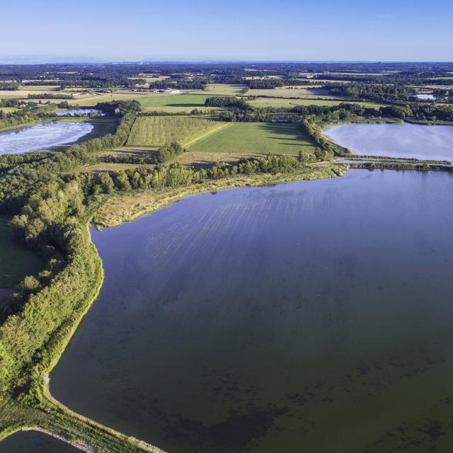 Les étangs de la Dombes vue du ciel