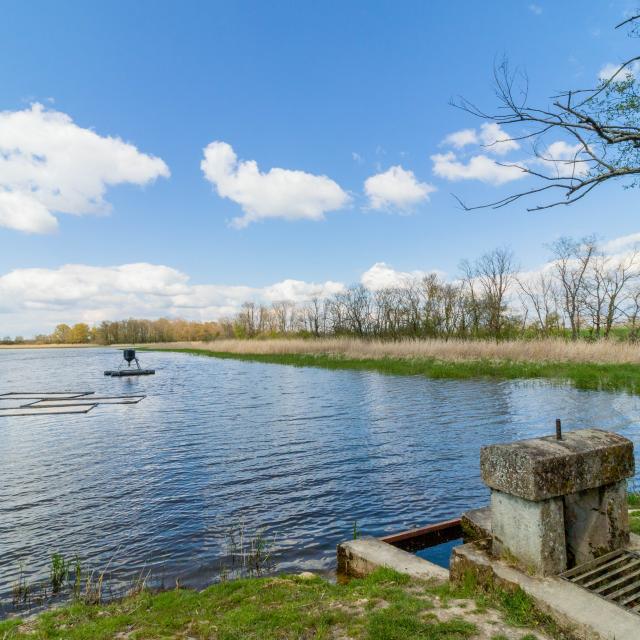 Circuit de randonnée proche de Lyon au bord des étangs