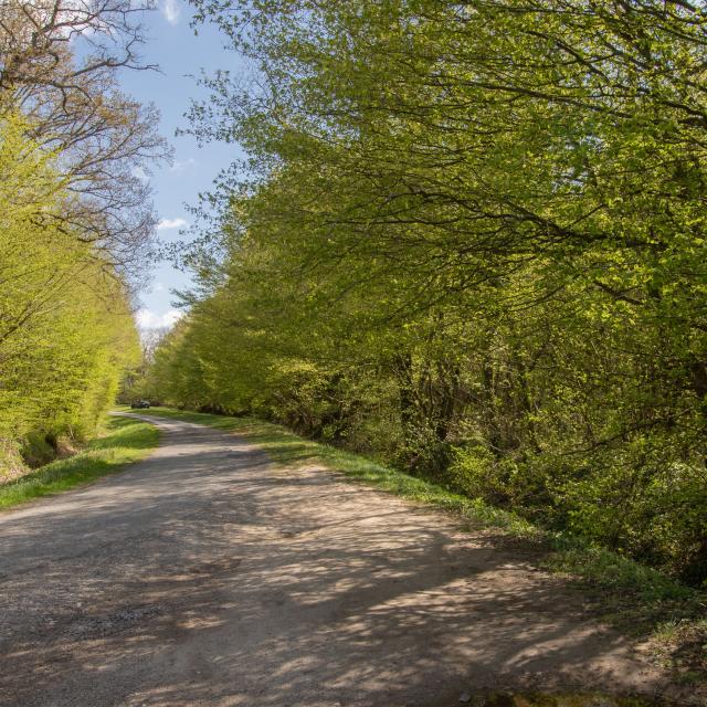 Circuit de randonnée proche de Lyon