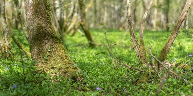 Circuit de balade proche de Lyon en pleine nature