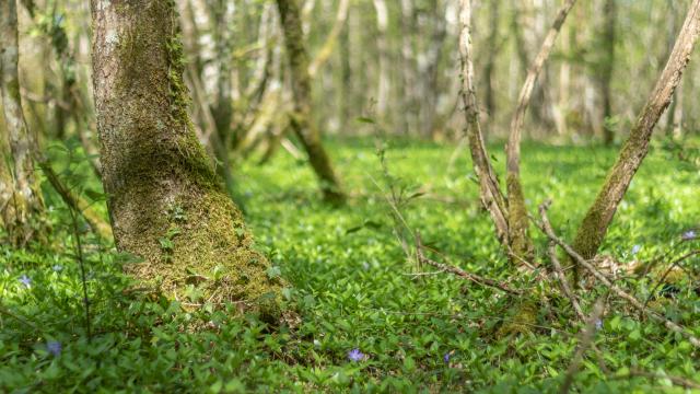 Circuit de balade proche de Lyon en pleine nature