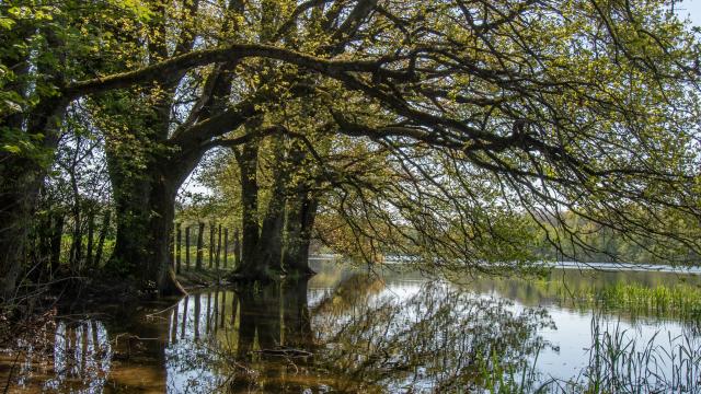 Circuit de balade proche de Lyon en pleine nature