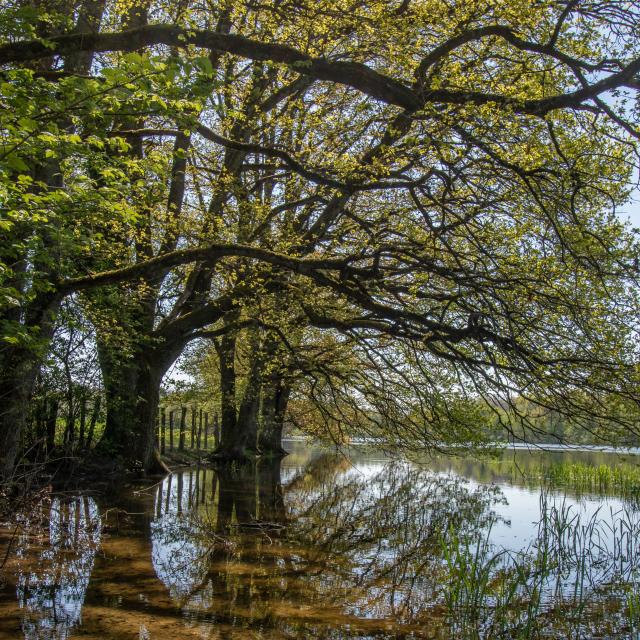 Circuit de balade proche de Lyon en pleine nature