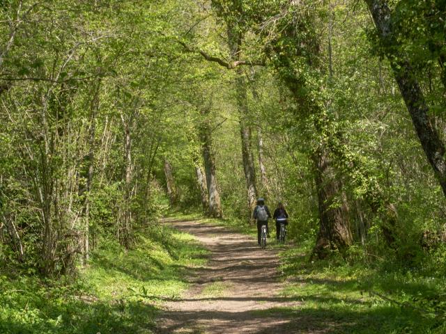 Circuit de balade proche de Lyon en pleine nature