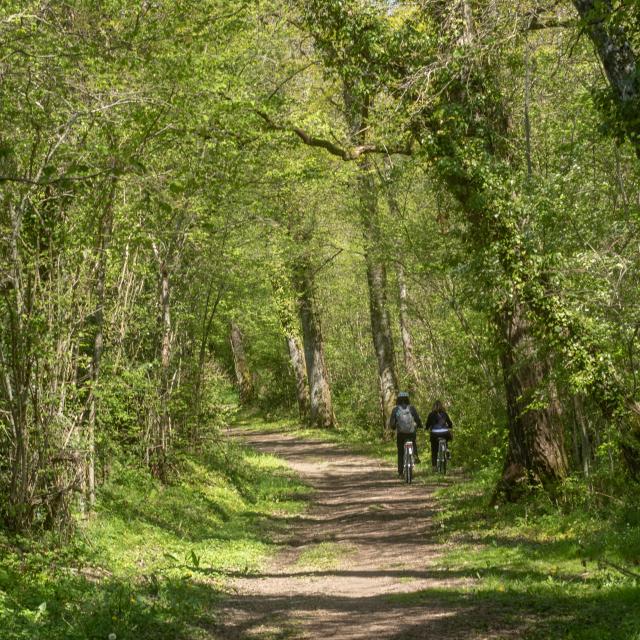 Circuit de balade proche de Lyon en pleine nature