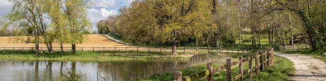 Circuit de Randonnée proche de Lyon en Dombes