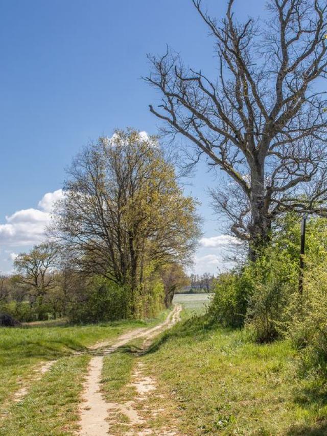 Circuit de Randonnée en Dombes proche de Lyon