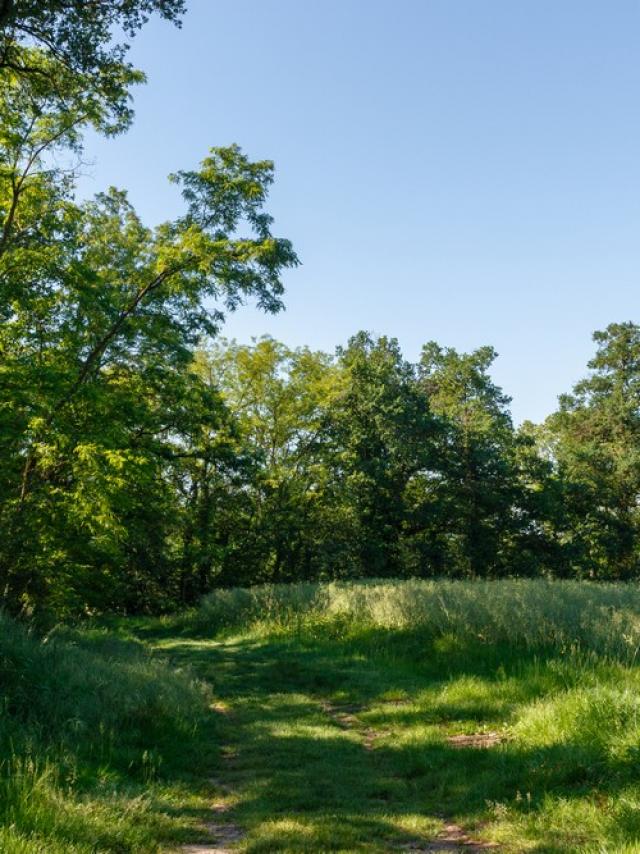 Circuit de randonnée proche de Lyon au bord des étangs