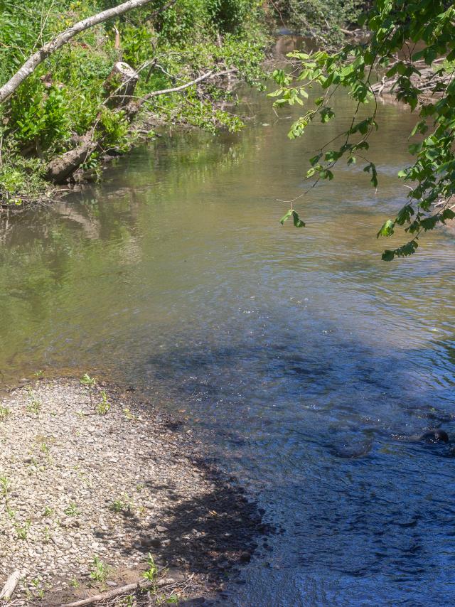 Ruisseau en Dombes