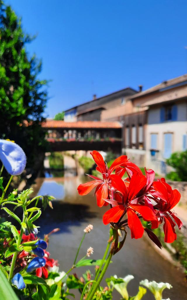 Pont fleuri Chatillon sur Chalaronne