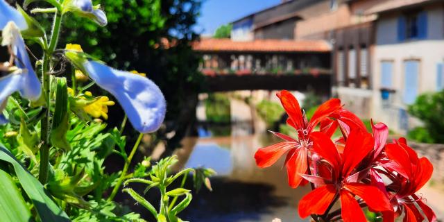 Pont fleuri Chatillon sur Chalaronne