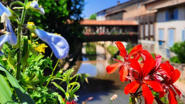 Pont fleuri Chatillon sur Chalaronne