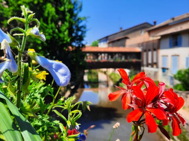 Pont fleuri Chatillon sur Chalaronne