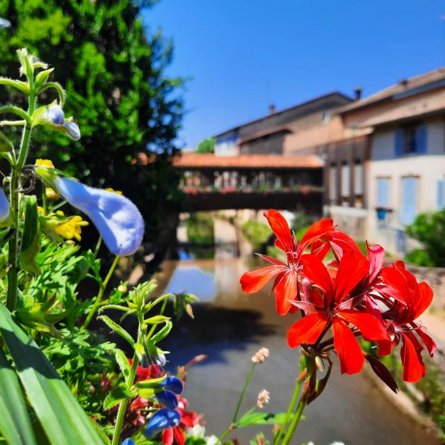 Pont fleuri Chatillon sur Chalaronne