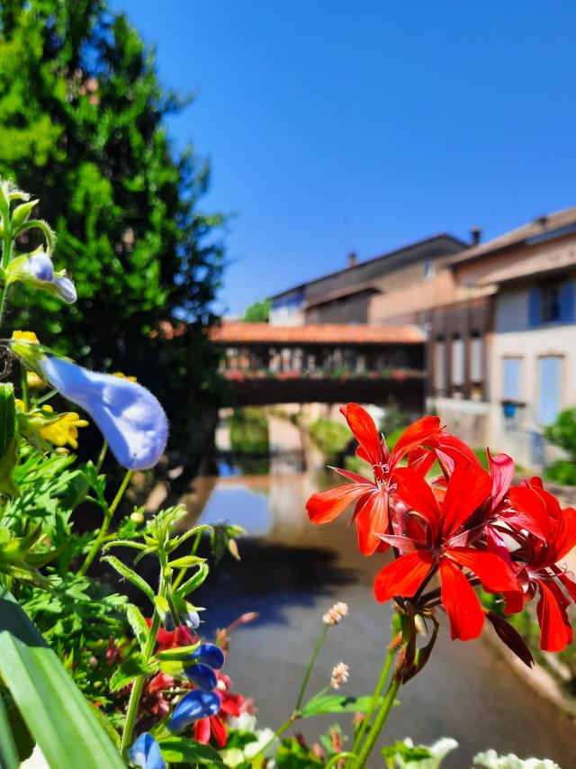 Pont fleuri Chatillon sur Chalaronne