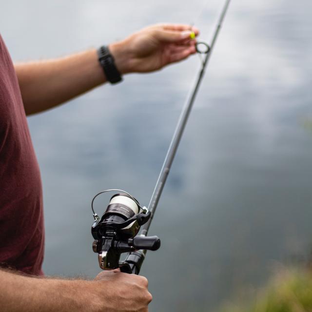 Pêche dans un étang en Dombes