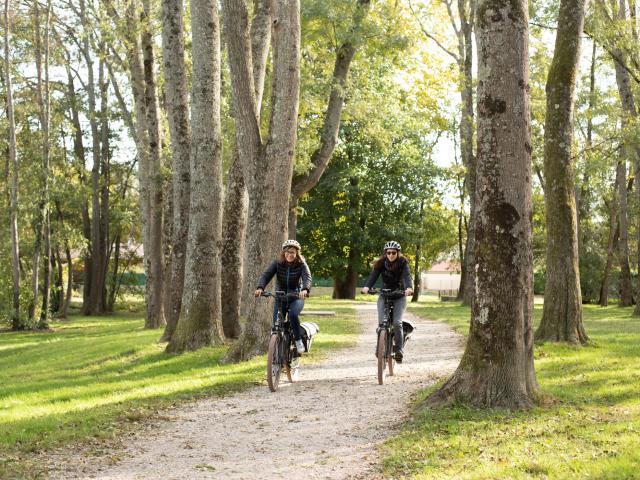 Balade à Vélo aux portes de la Dombes