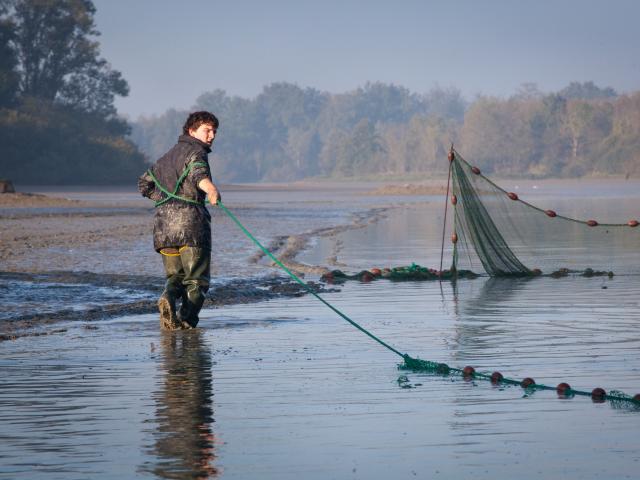 peche-etang-dombes001.jpg