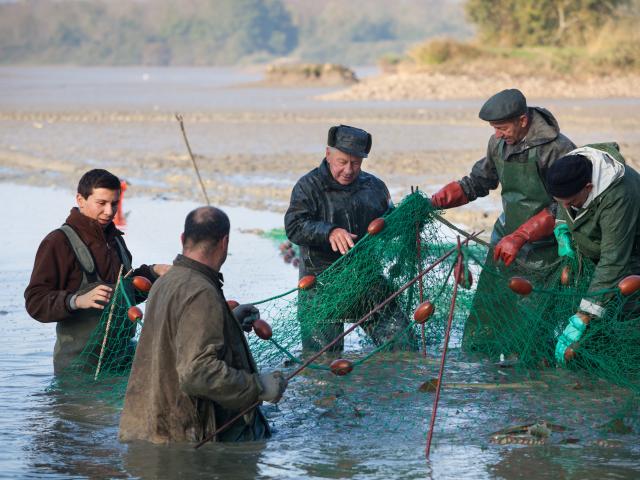 Journee peche etang de la Dombes (Ain)