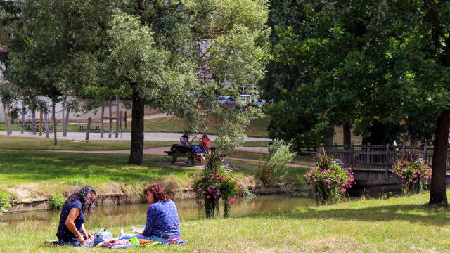 Pique nique à Châtillon sur Chalaronne