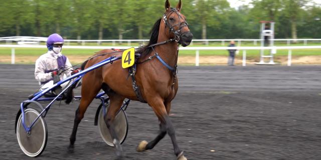 Courses hippiques à Châtillon sur Chalaronne