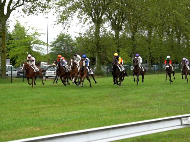 Courses hippiques à Châtillon sur Chalaronne