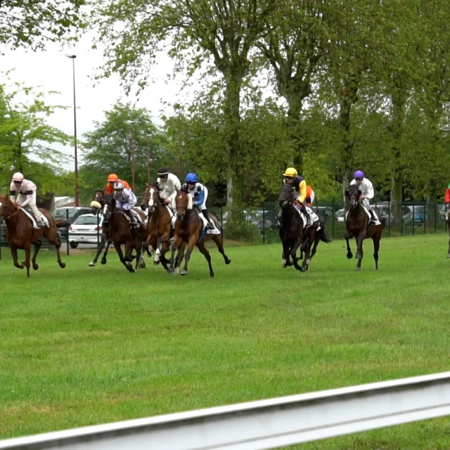 Courses hippiques à Châtillon sur Chalaronne