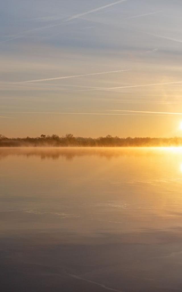 Lever de Soleil au bord d'un étang de la Dombes