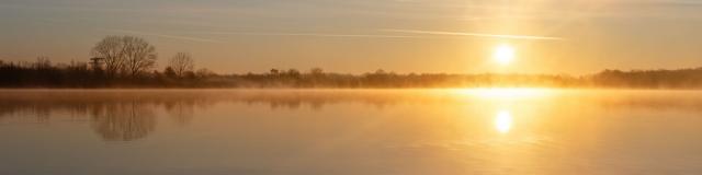 Lever de Soleil au bord d'un étang de la Dombes