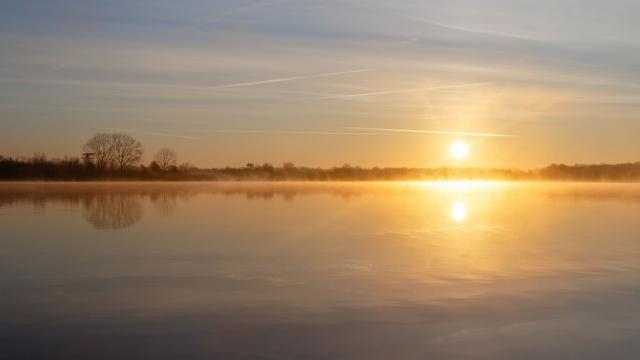 Lever de Soleil au bord d'un étang de la Dombes