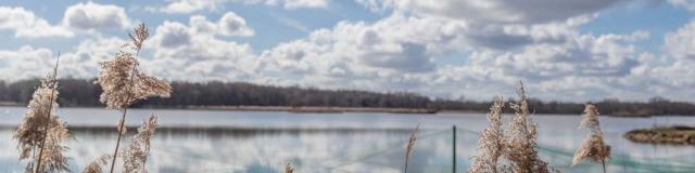 Etang De Condessiat sur le circuit de balade de l'étang Moulin