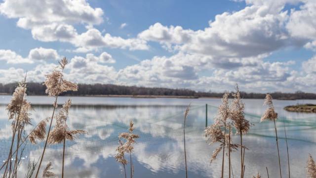 Etang De Condessiat sur le circuit de balade de l'étang Moulin