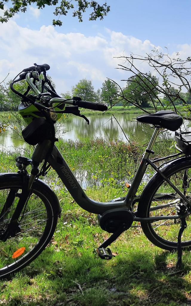 Circuit de balade à vélo au bord des étangs de la Dombes