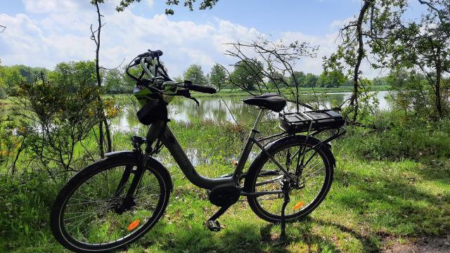 Circuit de balade à vélo au bord des étangs de la Dombes