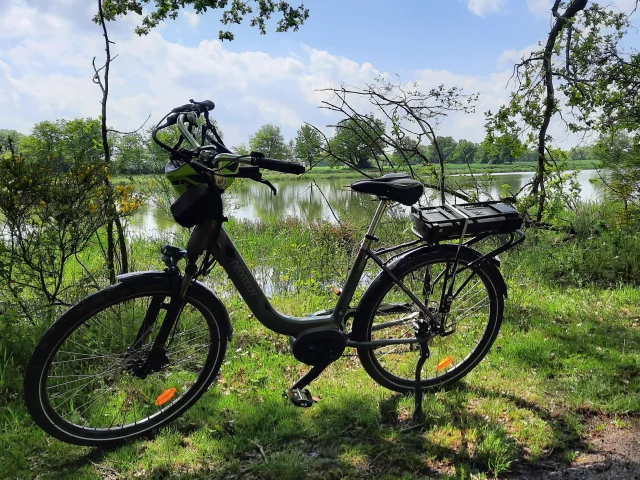 Circuit de balade à vélo au bord des étangs de la Dombes