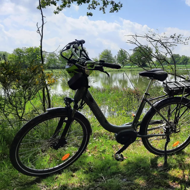 Circuit de balade à vélo au bord des étangs de la Dombes