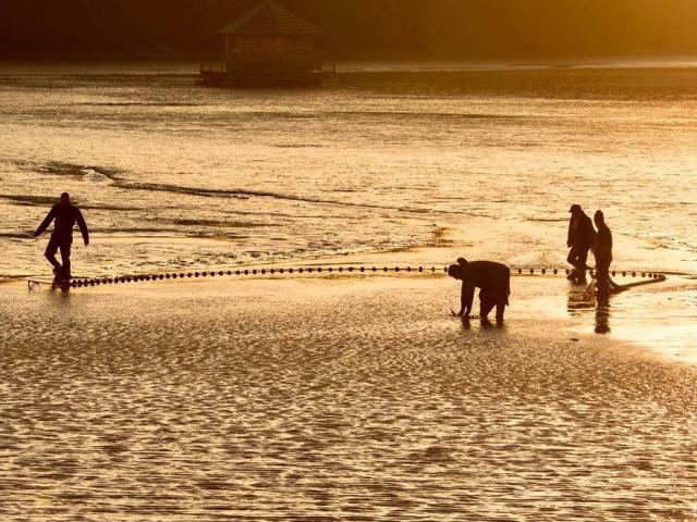 Pêche au Domaine de la Dombes