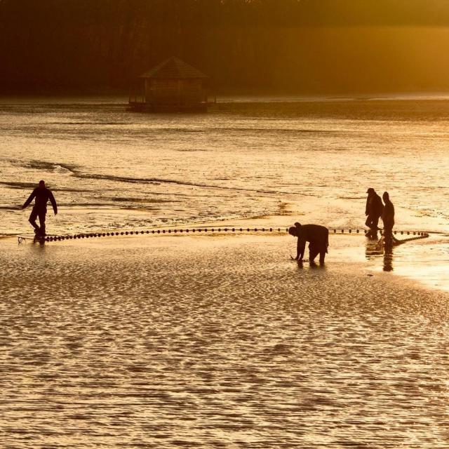 Pêche au Domaine de la Dombes