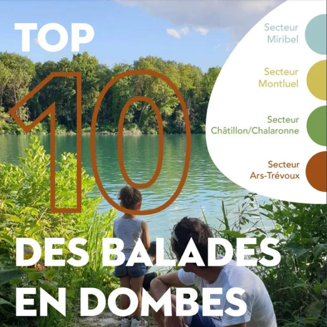 Top 10 Balades En Dombes