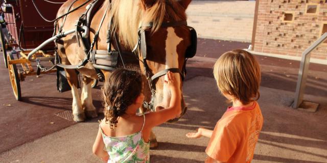 Caleche A Chatillon Sur Chalaronne