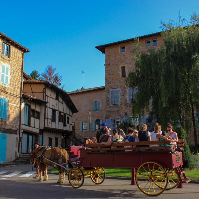 Sortie Caleche Chatillon Sur Chalaronne