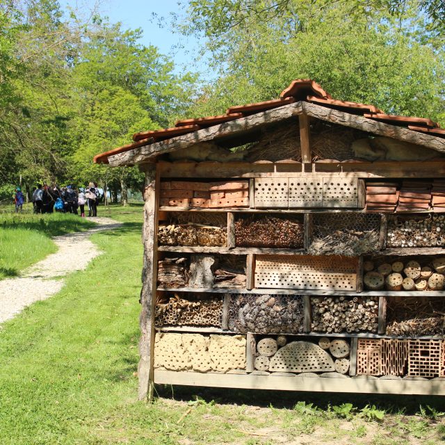 Arboretum Cecile Tribollet 2