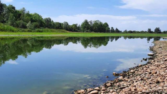 Etang Turlet sécheresse