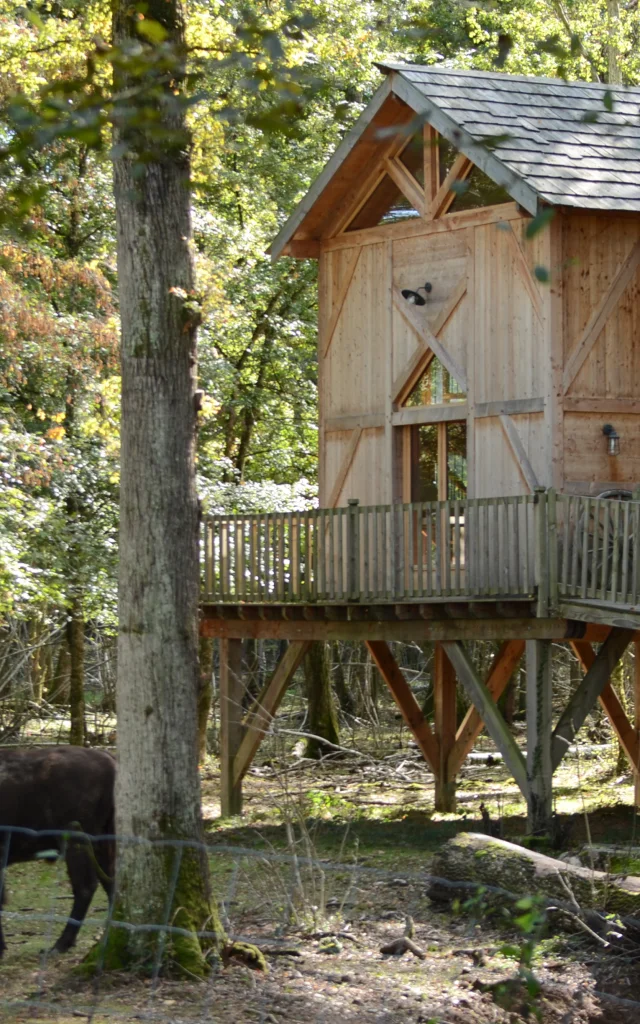 Cabane perchée dans la forêt au Domaine de la Dombes