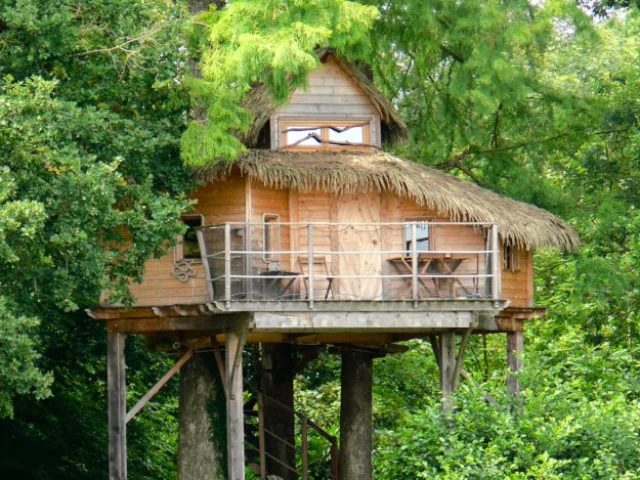 Cabane perchée dans la forêt - Domaine de la DOmbes