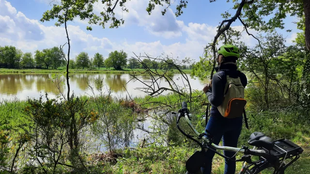 Accueil-vélo